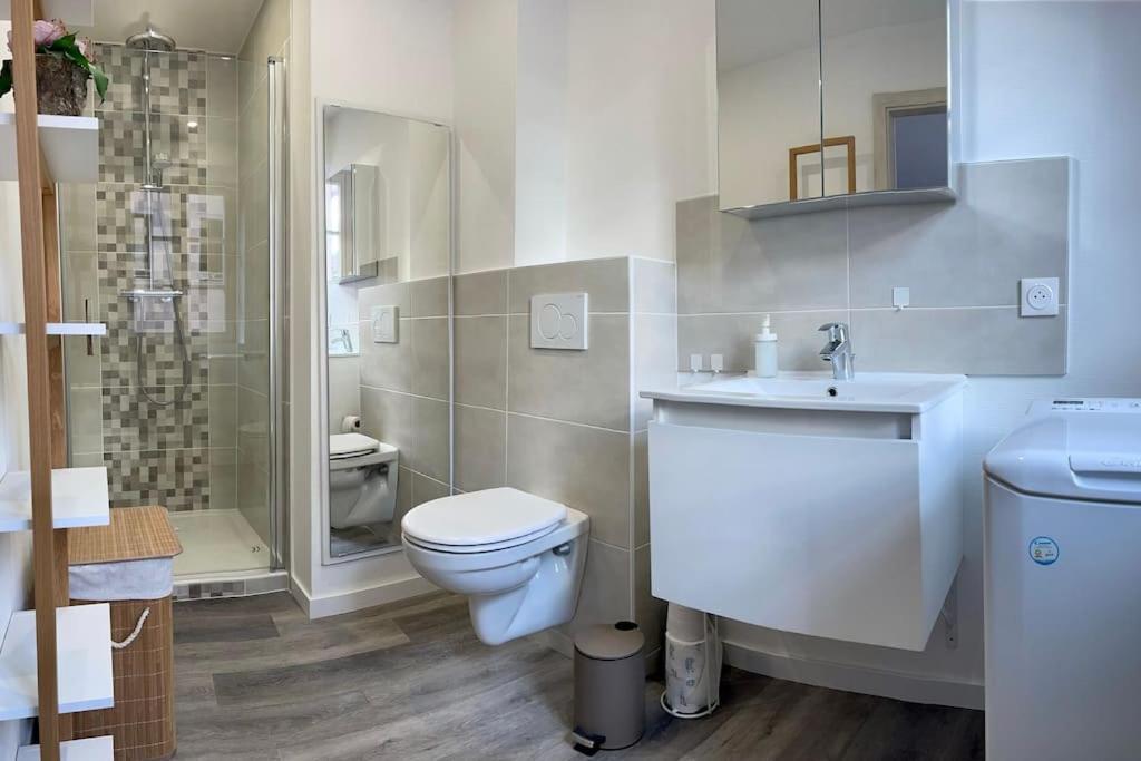 Le Bottier Alsacien Apartment Selestat Exterior photo